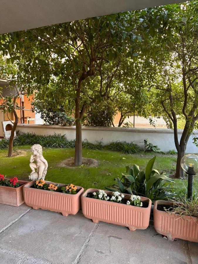 Ajoaolbia B&B Екстериор снимка