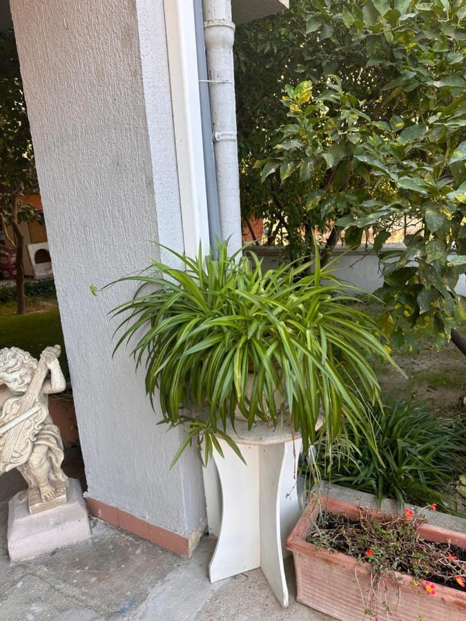 Ajoaolbia B&B Екстериор снимка